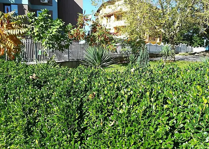 Park 1